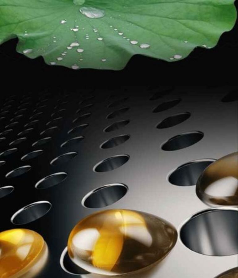 Tehnologia Lotus Nano - combinația intre știință si înțelepciunea naturii